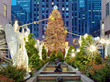 Photo - Tree at Rockefeller Center
